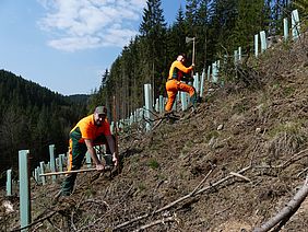 Bayerische Staatsforsten Forstbetrieb Rothenkirchen Frankenwald Klimawald