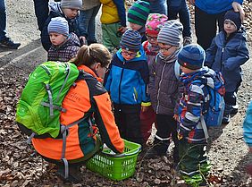 Wald Führung Kindergarten Förster