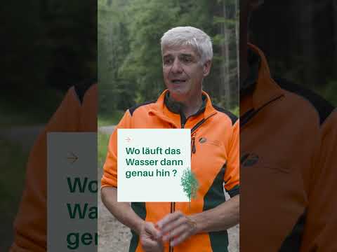 Warum sind Forstwege oder Waldwege gewölbt? 🌲 Das steckt dahinter | Waldwissen vom Forstmeister