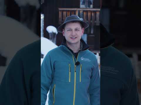 🎄 Er is wieda do: Unser Adventskalender. Mitmachen und gewinnen 🎁