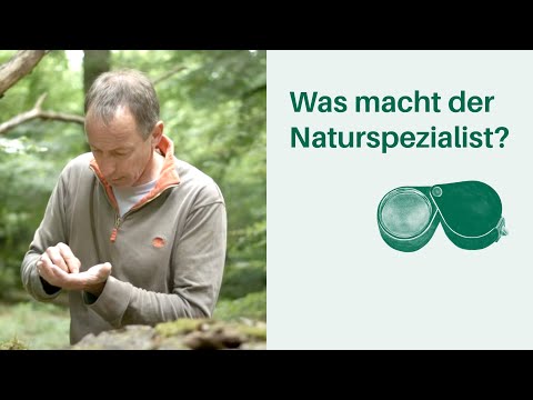 Was macht der Naturschutzspezialist? Arbeitsplatz Wald 🌳🌲 I Berufe in Wald & Forstwirtschaft