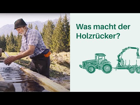 Was macht der Holzrücker? Arbeitsplatz Wald 🌳🌲 I Berufe in Wald & Forstwirtschaft