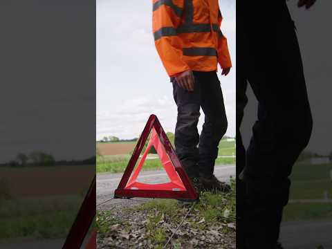 🦌🚗 Achtung Wildunfall! Was tust du?