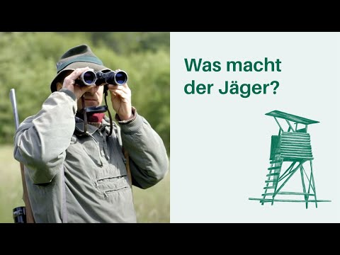 Was macht der Jäger? Arbeitsplatz Wald 🌳🌲 I Berufe in Wald & Forstwirtschaft