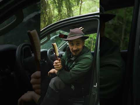 Ein Blick in Samuels Auto 🚙🌲