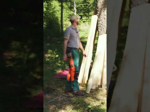 Mitten im Dreh läuft plötzlich Rotwild durchs Bild... 🦌😳