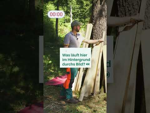 Was läuft hier durchs Bild? 👀
