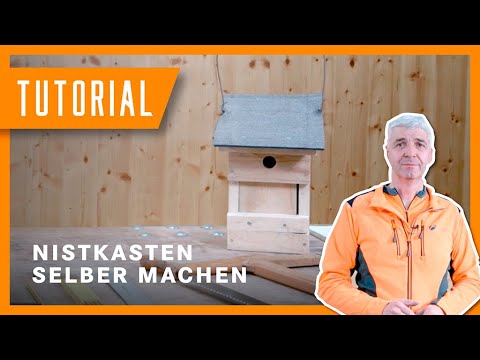 Vogelhaus selber bauen: Schritt-für-Schritt Nistkasten DIY mit Wolfi | Bayerische Staatsforsten 🐦