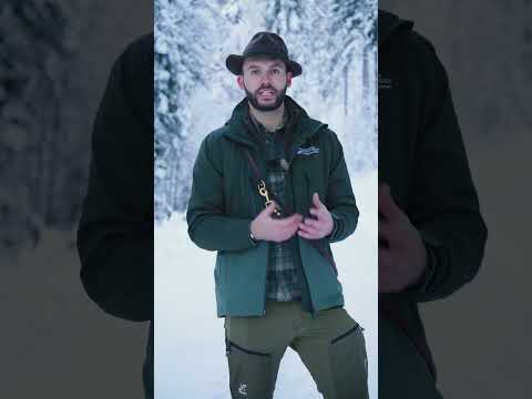 Hund im Wald? Diese Tipps brauchst du! 😅🌲#foerster #tipps