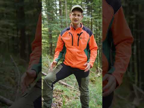 Darf Fichte noch gepflanzt werden? Oder Auslaufmodell? 🌲#forstwirtschaft #tipps #fichte