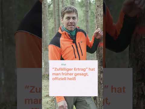 Was bedeuten die Markierungen an Bäumen? 🧓 WALDWISSEN von Forstwirtschaftsmeistern 🌲🌳
