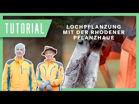Lochpflanzung mit der Rhodener Pflanzhaue: Profi-Tipps von Sepp | Tutorial & Anleitung