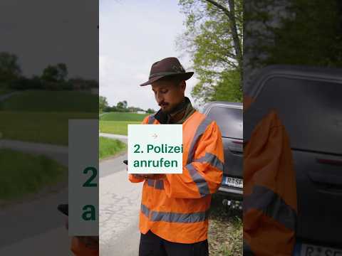 Wild angefahren? Dann zählt jede Minute. 🦌🚗