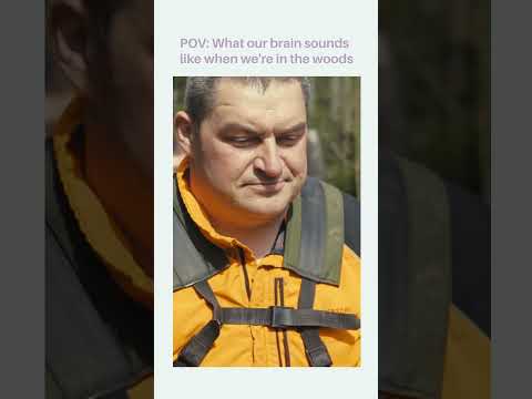 Waldgeräusche 🌲 Das beste Noise-Cancelling der Natur 👂🍃