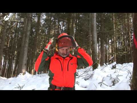 Fälltechnik Vorhänger mit Motorsäge I Tutorial Bayerischen Staatsforsten #Holzernte