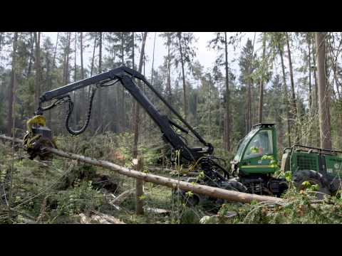 Sturm Niklas - Aufarbeitung Sturmwurf im "Mühldorfer Hart"