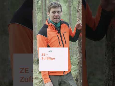 Was bedeuten die Markierungen im Wald? 🌲🔴 #Waldwissen