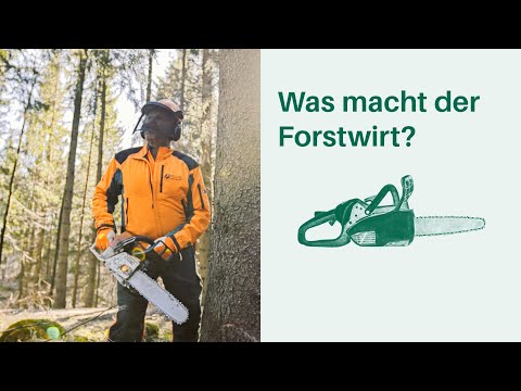 Was macht der Forstwirt? Arbeitsplatz Wald 🌳🌲 I Berufe in Wald & Forstwirtschaft