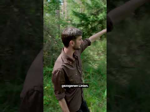 Feuchtbiotope anlegen: Wir gestalten Naturparadiese für Frösche & Co.! 🐸💧 #Naturschutz