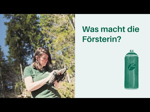 Was macht die Försterin? Arbeitsplatz Wald 🌳🌲 I Berufe in Wald & Forstwirtschaft