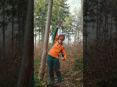 Druck- und Zugseite endlich verstehen – mit einem einfachen Trick! 🌳🪚