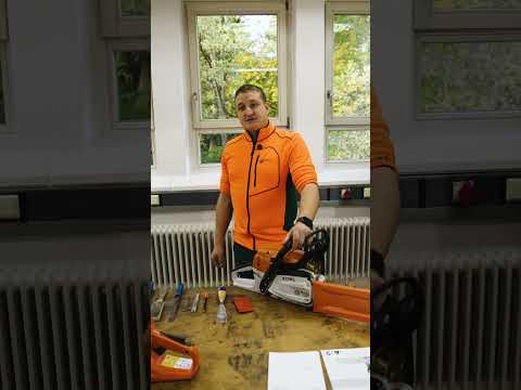 Motorsägenführerschein – das lernst du WIRKLICH! 🪚😎 #forstwirtschaft #kettensäge #motorsäge