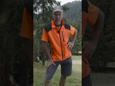 Warum der Zaun um Almwiesen so wichtig ist: Ökologische Vielfalt & Schutz für Tiere 🐄