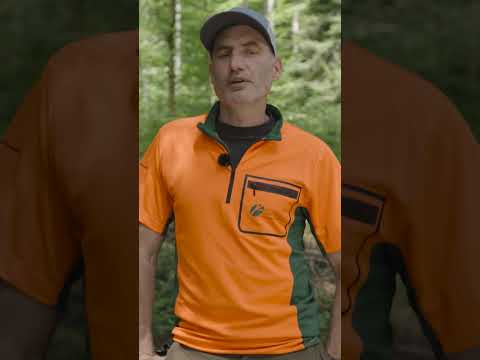 Mischwald | Warum mehr Baumarten im Wald? Waldwissen