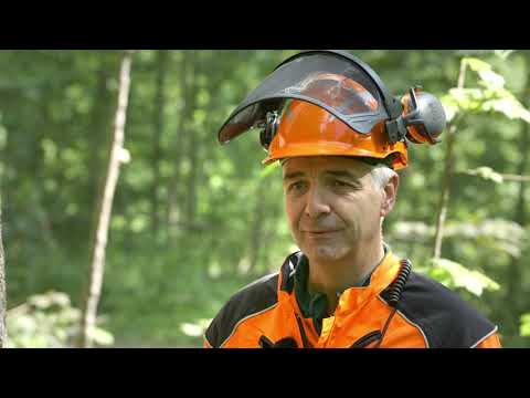 Baum fällen mit funkgesteuerten Fällkeilen | Tutorial der Bayerischen Staatsforsten