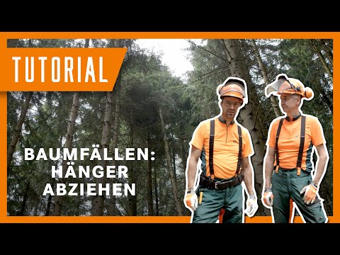 Baum fällen - Abziehen eines mittig hängengebliebenen Baumes