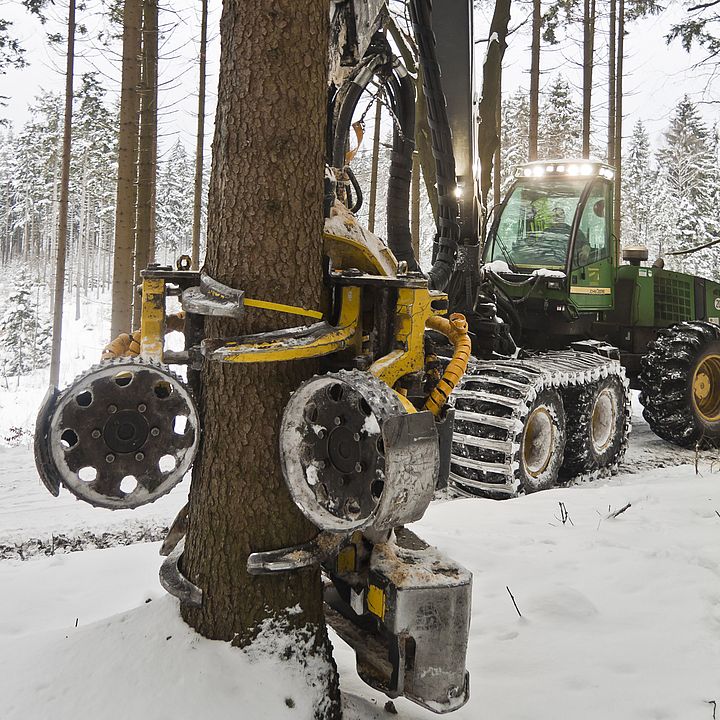 Bayerische Staatsforsten  Forstwirtschaft im Winterwald