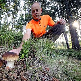 Bayerische Staatsforsten Pilzsaison Pilzsuche Fichtelberg