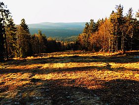 Bayerische Staatsforsten Forstbetrieb Neureichenau