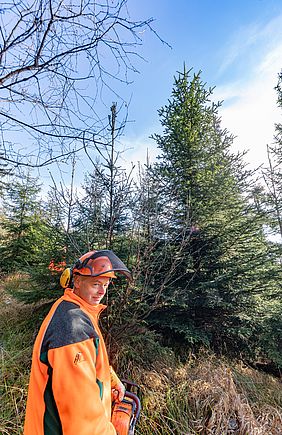 Bayerische Staatsforsten Forstbetrieb Fichtelberg Christbaum Berlin