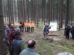 Wald Klimastation Frankenwald