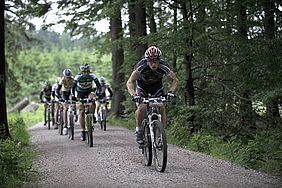 Mountainbiken im Wald