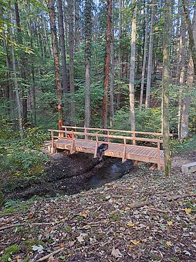 Die Brücke ruht auf stabilen Fundamenten. 