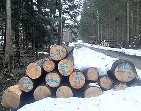 Bayerische Staatsforsten Forstbetrieb Sonthofen Holzernte