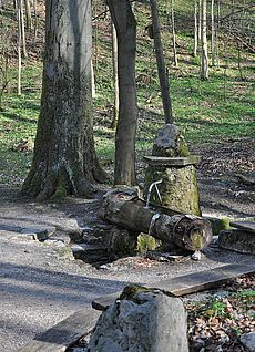 Ottobrunnen Forchheim