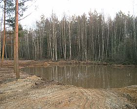 Naturschutzgebiet am Föhrenbuck