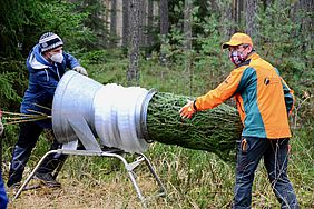 Bayerische Staatsforsten Forstbetrieb Allersberg Christbäume