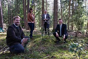 Bayerische Staatsforsten Nürnberg Stadt Nürnberg Waldumbau Nürnberger Reichswald