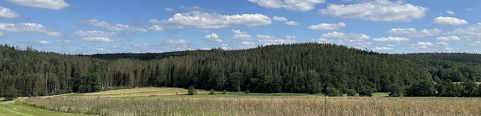 Headerimage