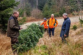 Bayerische Staatsforsten, Forstbetrieb Fichtelberg, Naturpark Fichtelgebirge, Landratsamt Wunsiedel