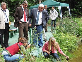 Feuchtbiotope im Hauptsmoorwald