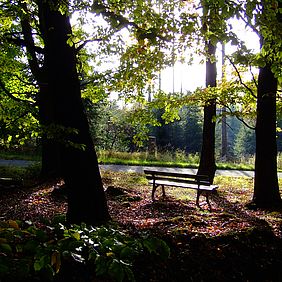 Wald Waldspaziergang Waldführung Forstbetrieb Ebrach Bayerische Staatsforsten