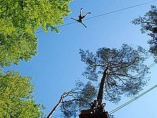 Kletterwald am Wildpark