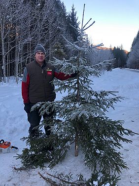 Bayerische Staatsforsten, Naturpark Ammergebirge, Christbaumaktion