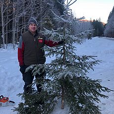 Bayerische Staatsforsten, Naturpark Ammergebirge, Christbaumaktion