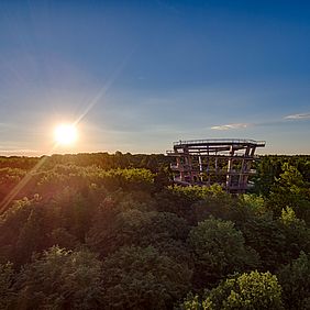 Baumwipfelpfad Steigerwald Bayerische Staatsforsten Wald